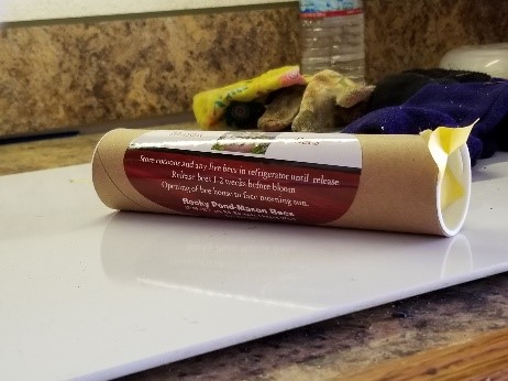 Guide to Raising Mason Bees | Rocky Pond Nursery