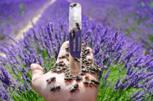 Buy Mason Bee attractant
