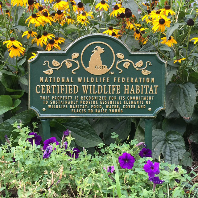 Certified Wildlife Habitat | Sunshine & Lavender